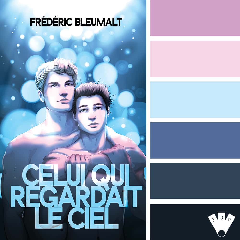 Color palette du livre "Celui qui regardait le ciel" de l'auteur Frédéric Bleumalt