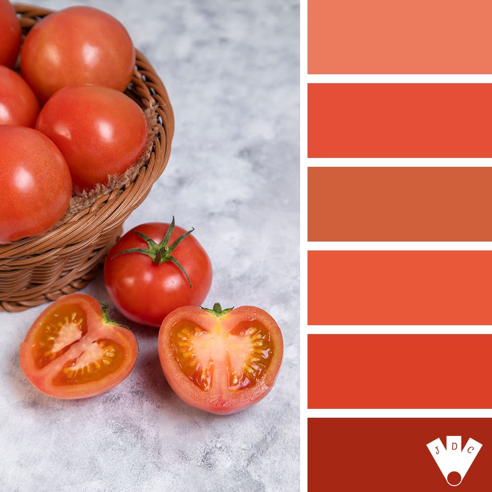 color palette à partir d'une photo de tomate