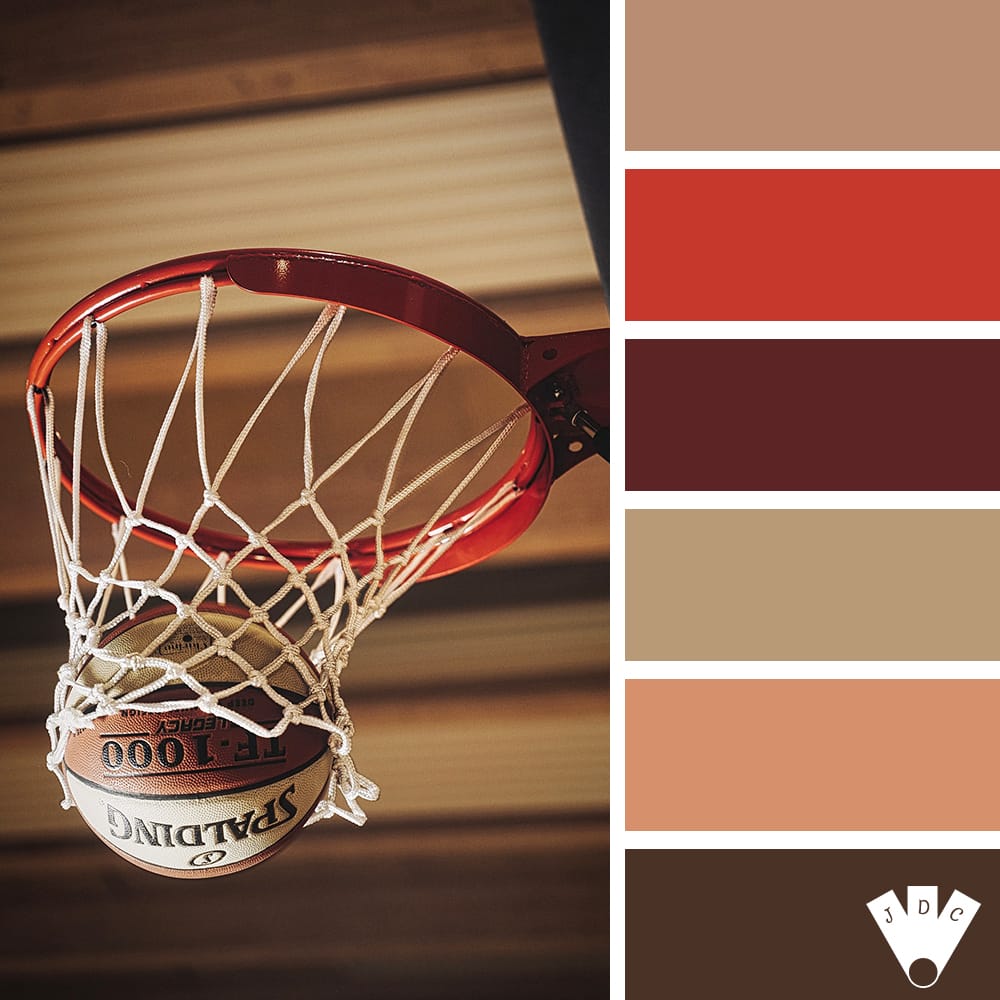 color palette à partir d'une photo d'un panier de basket avec un ballon