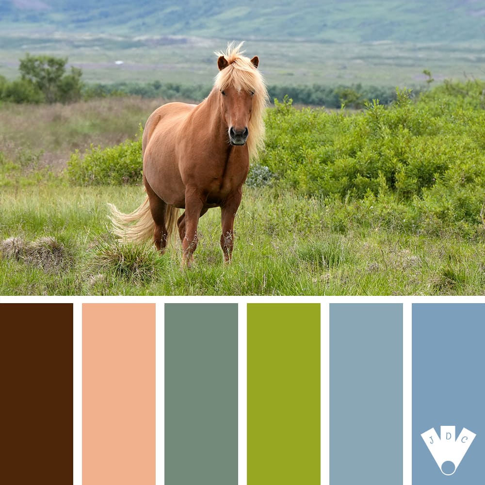 color palette à partir d'une photo d'un cheval dans une pâture.