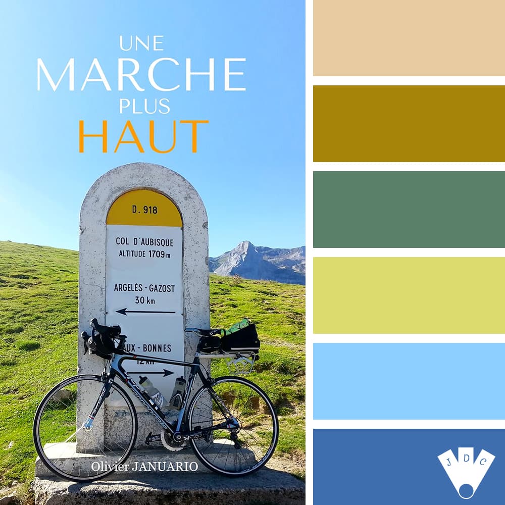 color palette à partir de la couverture du livre "Une marche plus haut" de Olivier Januario